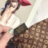 Louis Vuitton Scarf 009